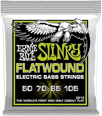 Ernie Ball Mute Noodle - Bass (P09637) Review